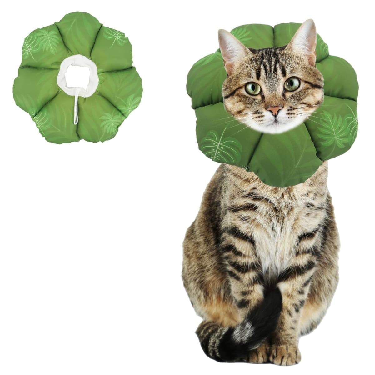 QIYADIN - Inspected | Cat Supplies — image 1