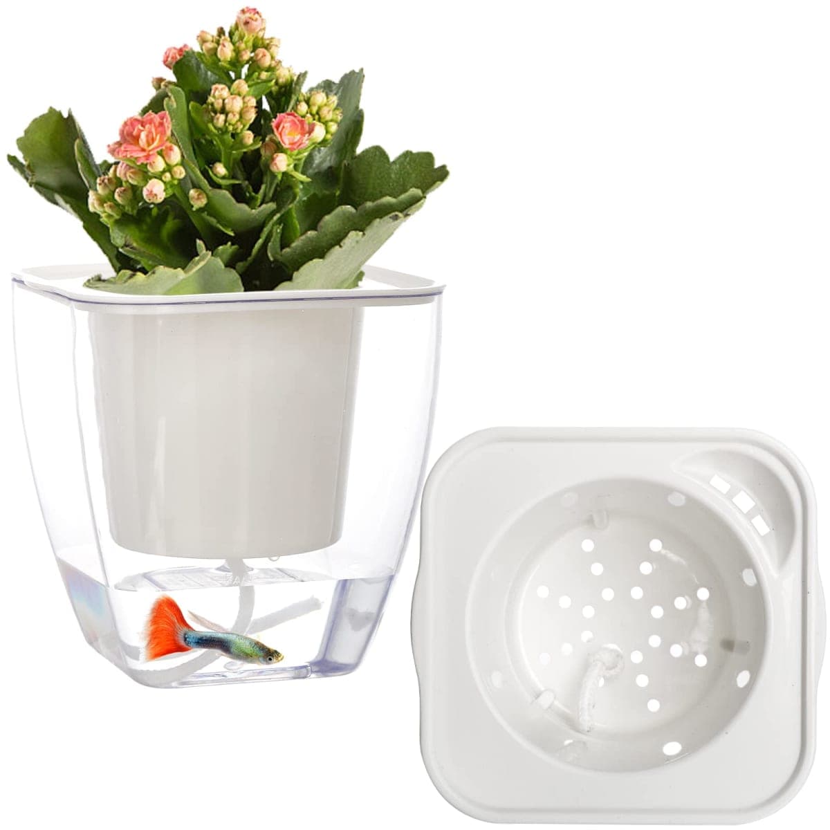 Lyellfe - New - Sealed | Gardening Tools thumbnail 3