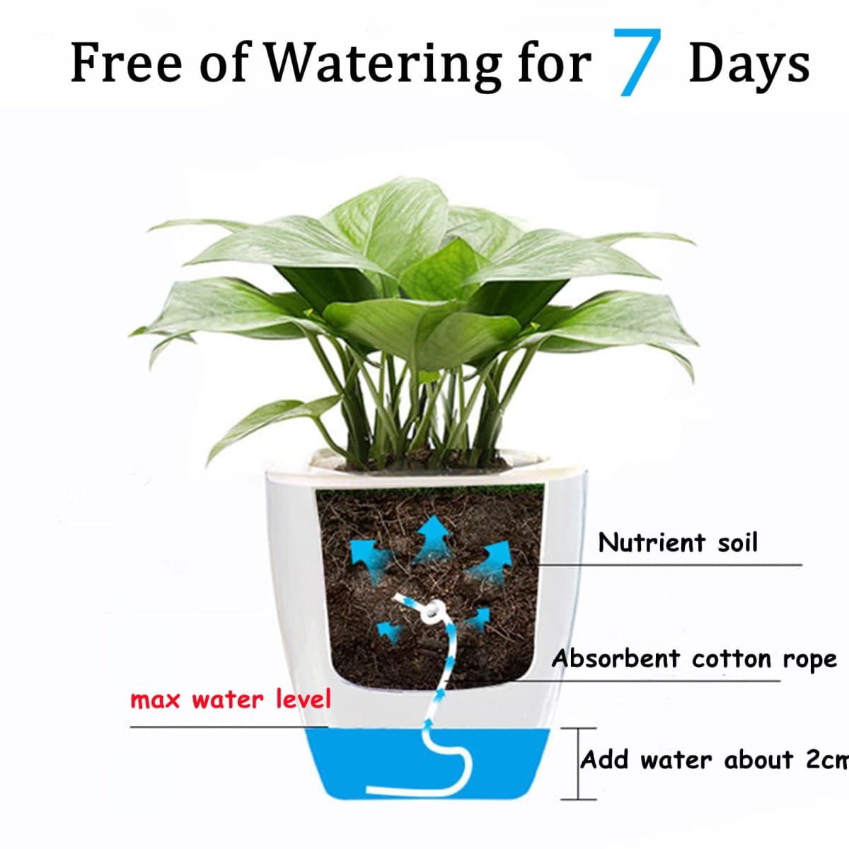 Lyellfe - New - Sealed | Gardening Tools thumbnail 4