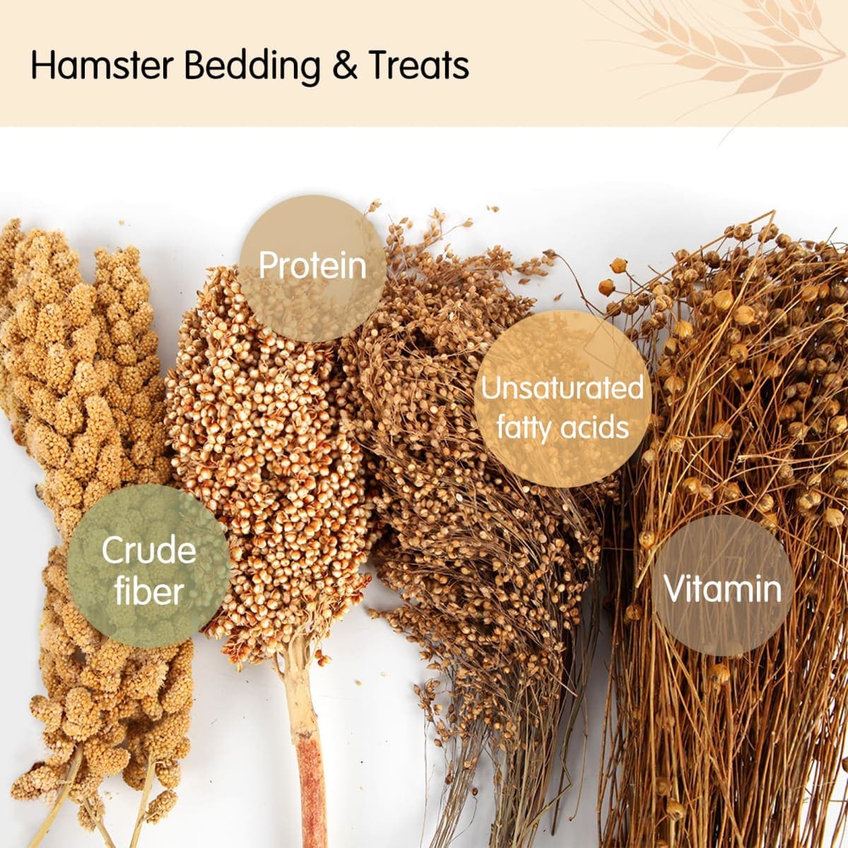 Fhiny Natural Hamster Bedding, Edible Hamster Sprays Flowers & Herbs Gerbil Habitat Enclosure Decor Grain Treats Cage Accessories for Dwarf Syrian Hamster Gerbil Mice Lemming Degus thumbnail 4