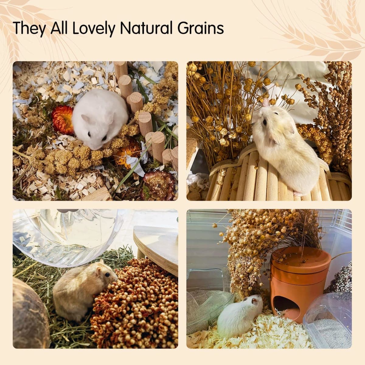 Fhiny Natural Hamster Bedding, Edible Hamster Sprays Flowers & Herbs Gerbil Habitat Enclosure Decor Grain Treats Cage Accessories for Dwarf Syrian Hamster Gerbil Mice Lemming Degus thumbnail 5