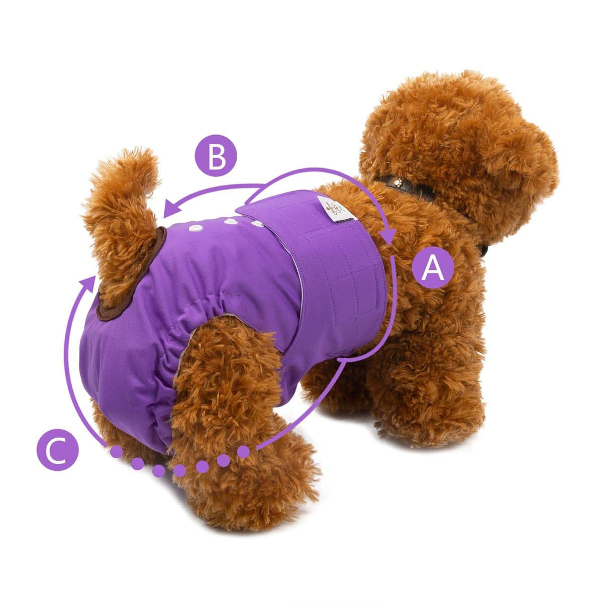 CuteBone Reusable Dog Diapers Female D11XS-CA thumbnail 5