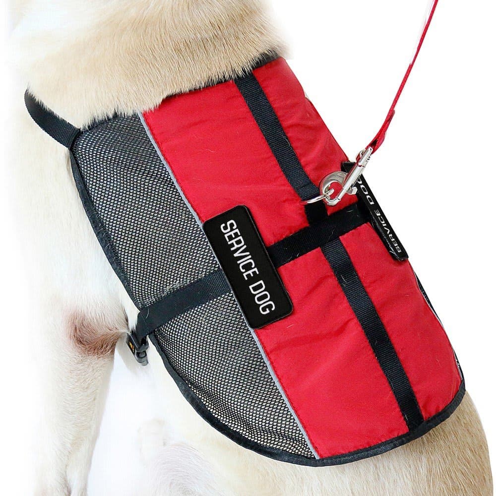 PLUTUS PET Service Dog Vest with 2 Removable Patches, Light Weight and Breathable Mesh Service Animal Harness,Perfect for Summer and Hot Days,Red,L,Girth 26.7-31.5" thumbnail 3