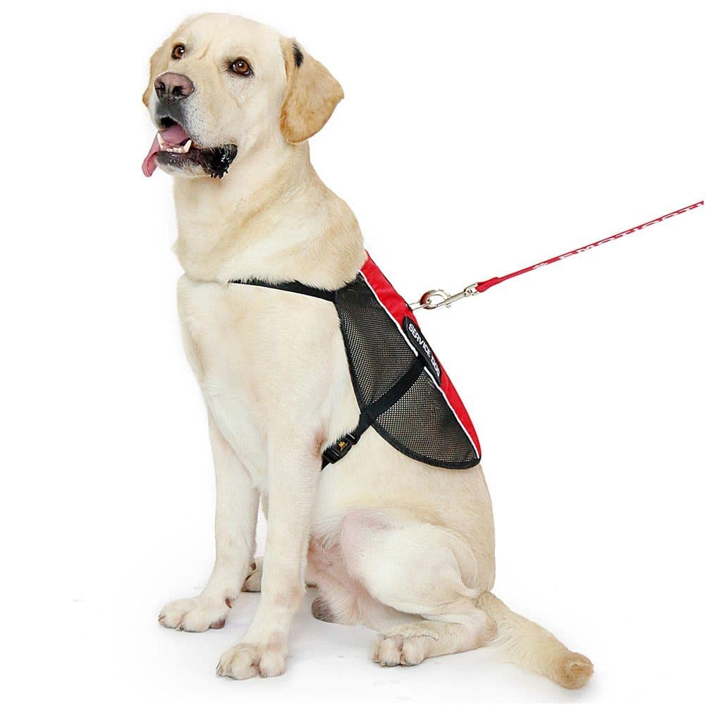 PLUTUS PET Service Dog Vest with 2 Removable Patches, Light Weight and Breathable Mesh Service Animal Harness,Perfect for Summer and Hot Days,Red,L,Girth 26.7-31.5" thumbnail 4