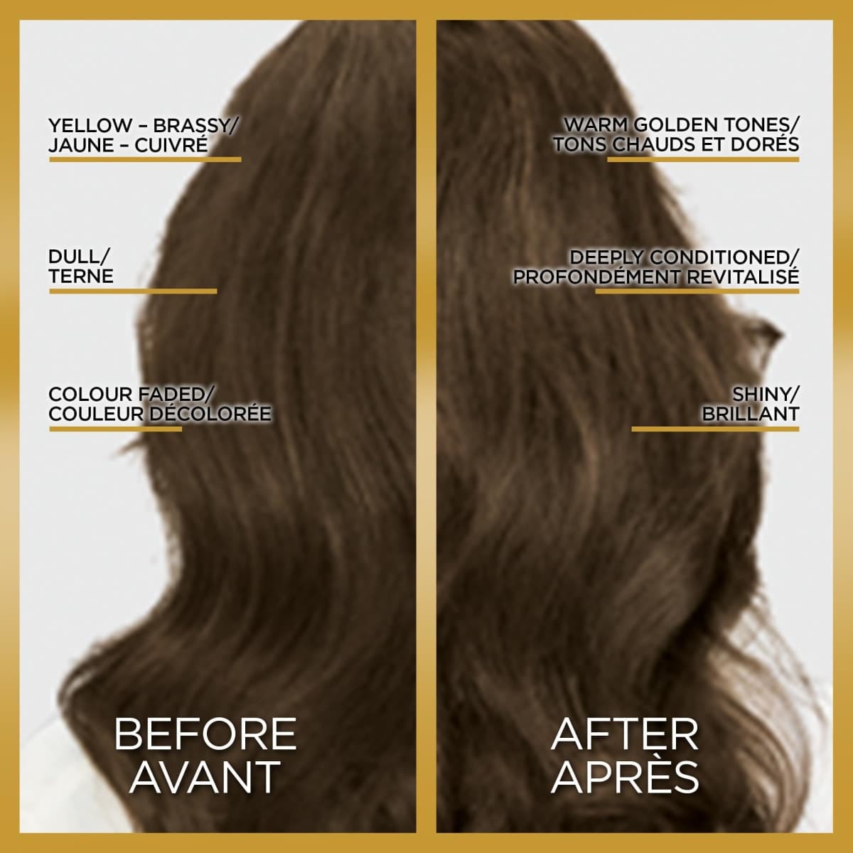 L'Oreal Paris Le Color Gloss One Step Toning Hair Gloss Treatment, Rich Brunette, Enhance Your Shine with this Semi Permanent Hair color, 1 Kit thumbnail 2