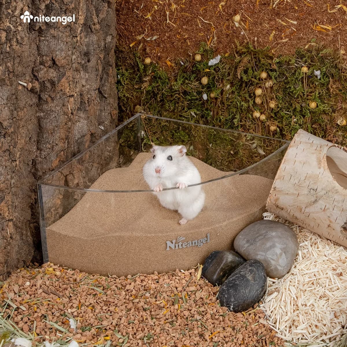 Niteangel Hamster Desert Bath Sand | No-Dust Bath or Potty Litter Sand for Hamster Chinchillas Gerbil Mice Degu or Other Small Pets thumbnail 5