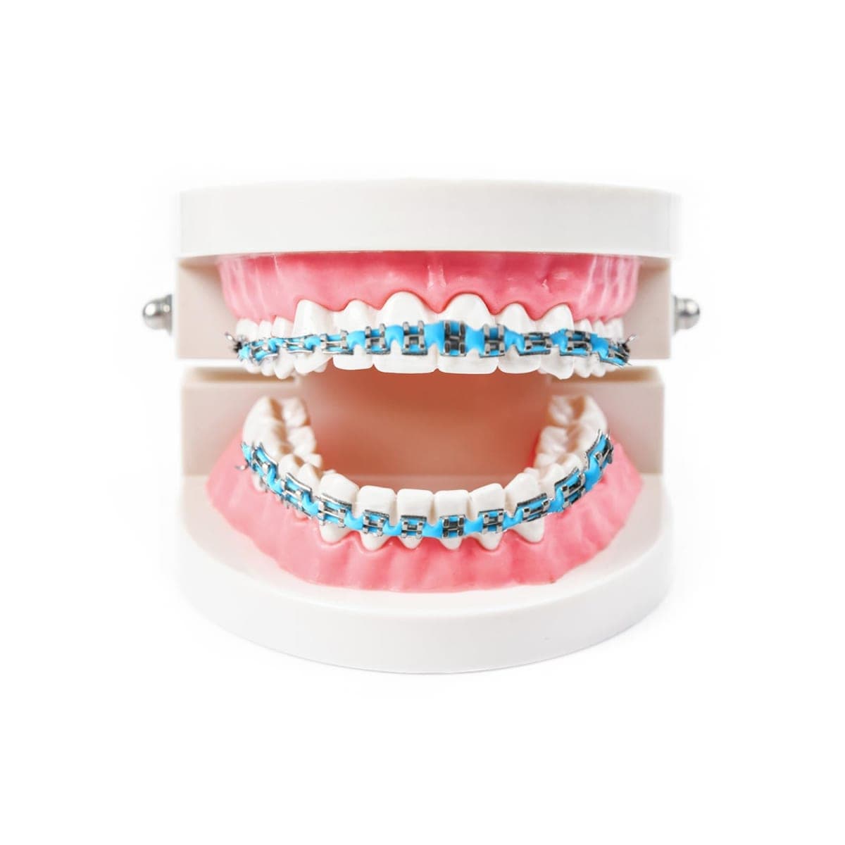 Brackets Falsos Para Dientes,Braces Kit with Brackets & Wire & Glue Perfect for Dental Students & Orthodontic Practice,Brackets Para Dientes for Dental Students to Practice,Light Blue thumbnail 3