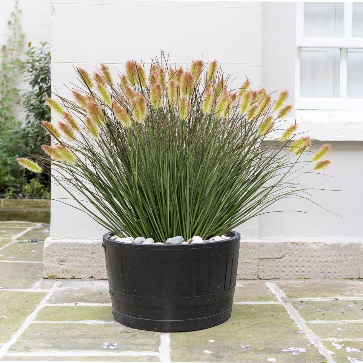 Ttranewsoo Artificial Grass, Fake Grass, Artificial Shrubs, Wheatgrass Cattails Fake Grass Decorations, Artificial Plants, Ornamental Grass, Outdoor Fake Grass, Green Leafy Decorations (12PCS) thumbnail 3
