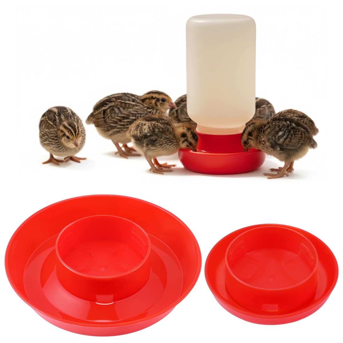 Enhon - New | Bird Supplies
