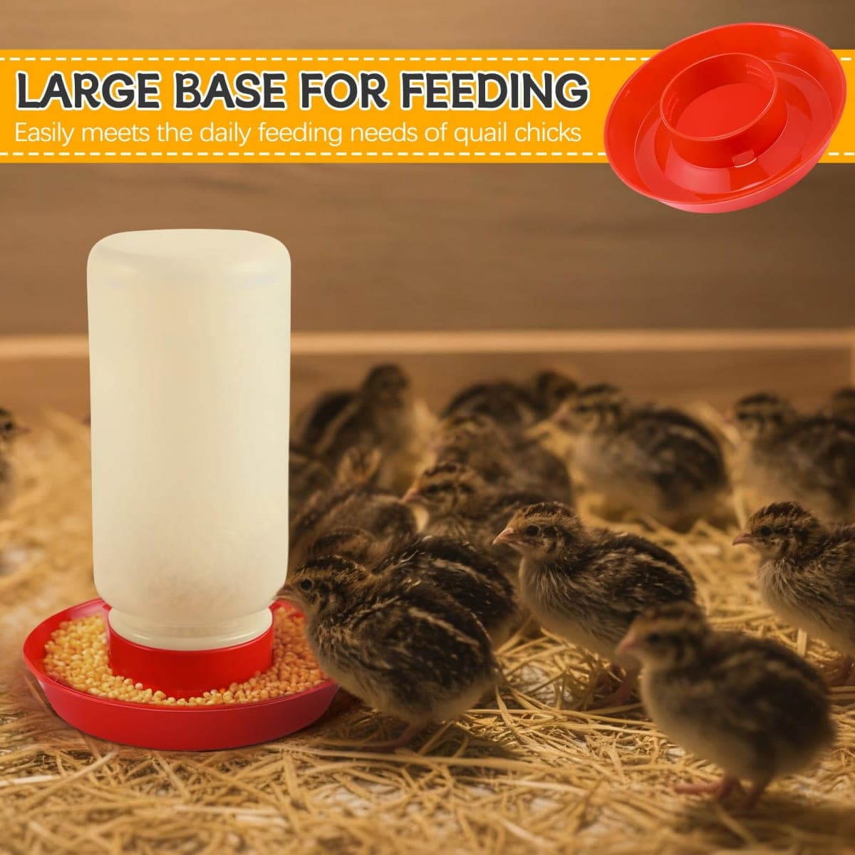 Enhon 2 Sizes Quail Waterer Base, Quail & Chick No Drown Water Base, Safety Waterer and Feeder, Compatible with Bottles with A 2.5inch Outer Diameter and Threaded Neck for Brooding Chicks thumbnail 4
