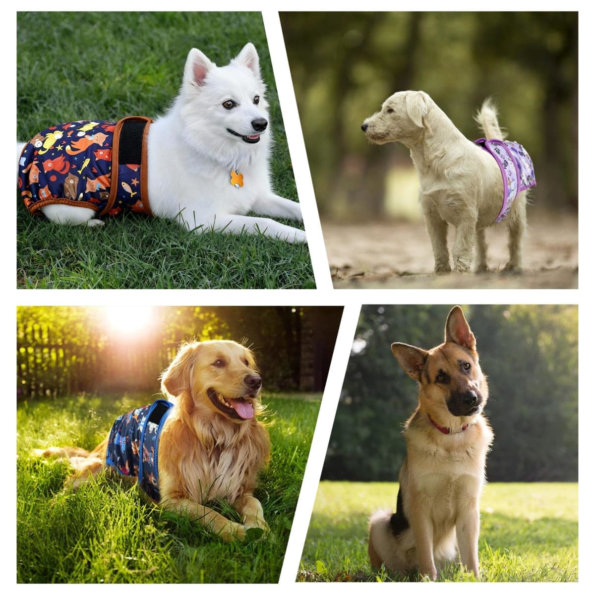 ZINGTERRA 5 Pack Washable Female Dog Diapers,Reusable Diaper for Doggie,Highly Absorbent Dog Diaper,Adjustable Leakproof Puppy Diapers Skirt for Heat,Incontinence,Period Doggy Nappies thumbnail 3