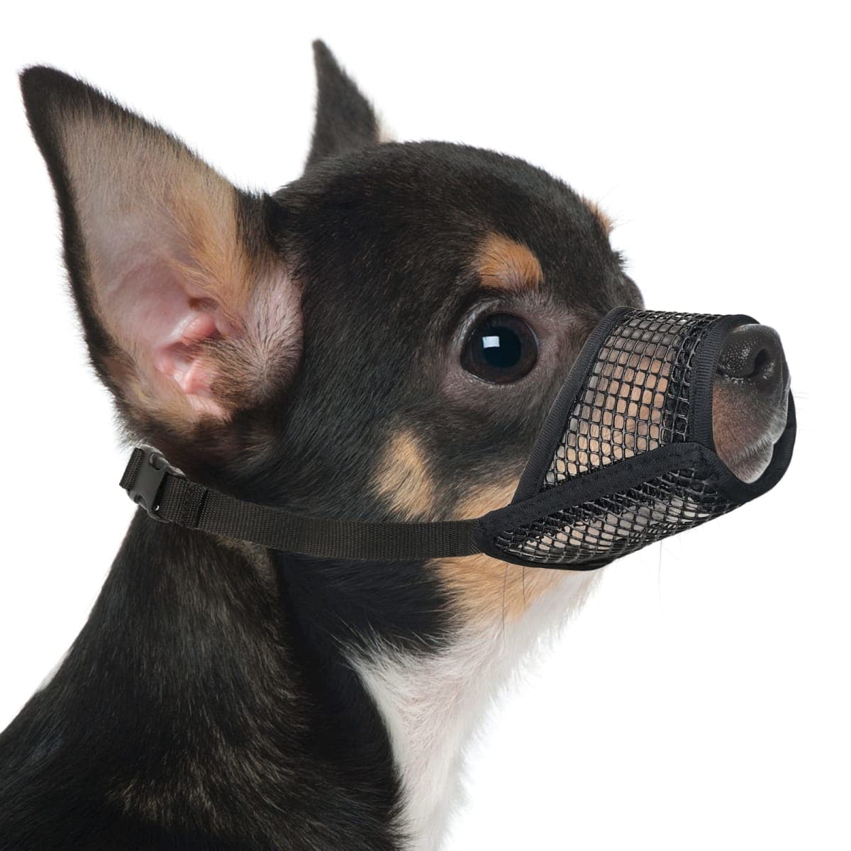 Mayerzon Dog Muzzle, Soft Mesh Muzzles for Small Medium Large Dogs Chihuahua Poodle Husky Labrador Retriever, Breathable Dog Mouth Guard for Biting Chewing Grooming, Allow Panting Drinking — image 1