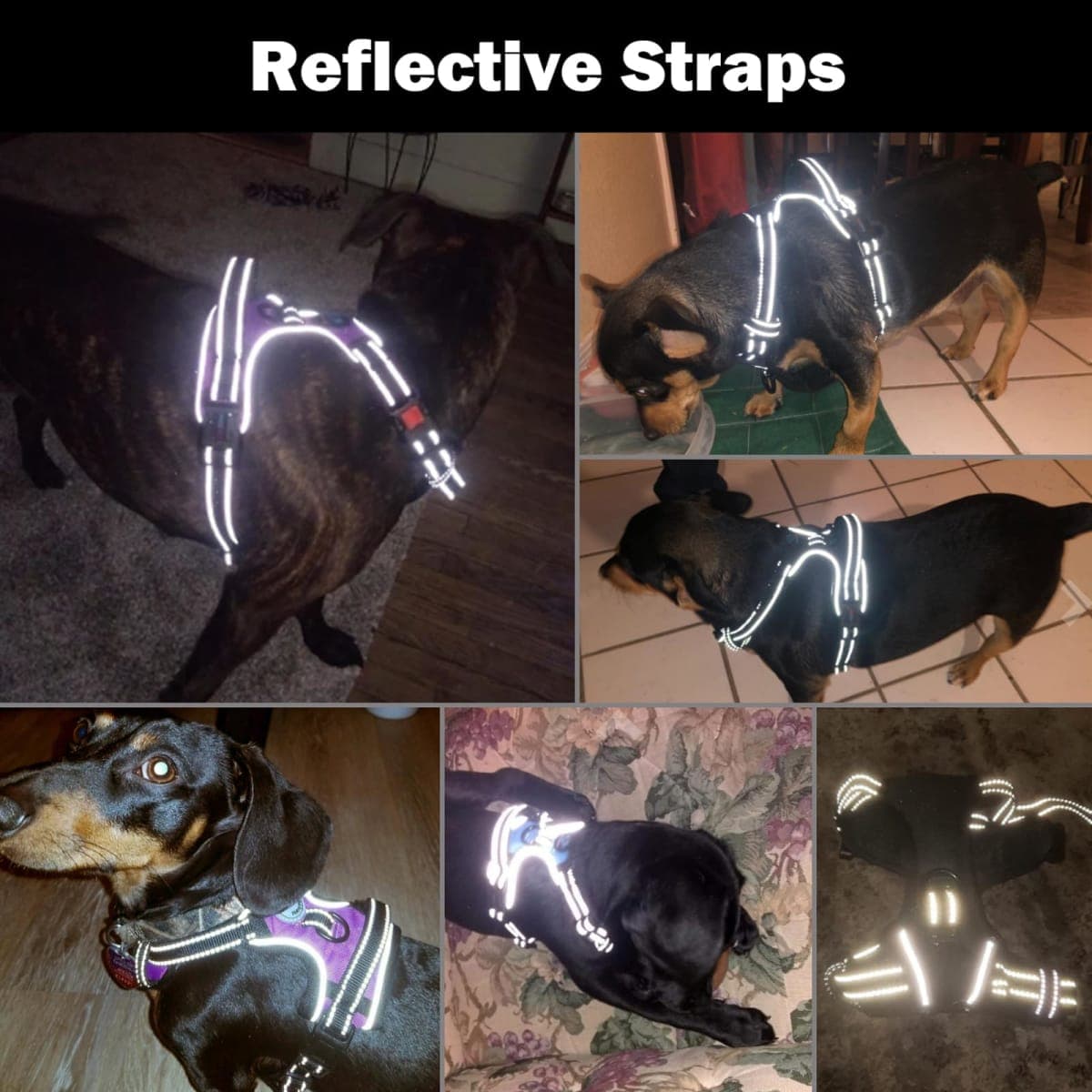 PHOEPET No Pull Dog Harnesses for Small Dogs Reflective Adjustable Front Clip Vest with Handle 2 Metal Rings 3 Buckles [Easy to Put on & Take Off](S, Red) thumbnail 5