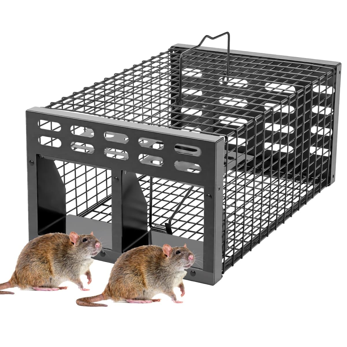 WHJIACHU - New | Rodent and Pest Control
