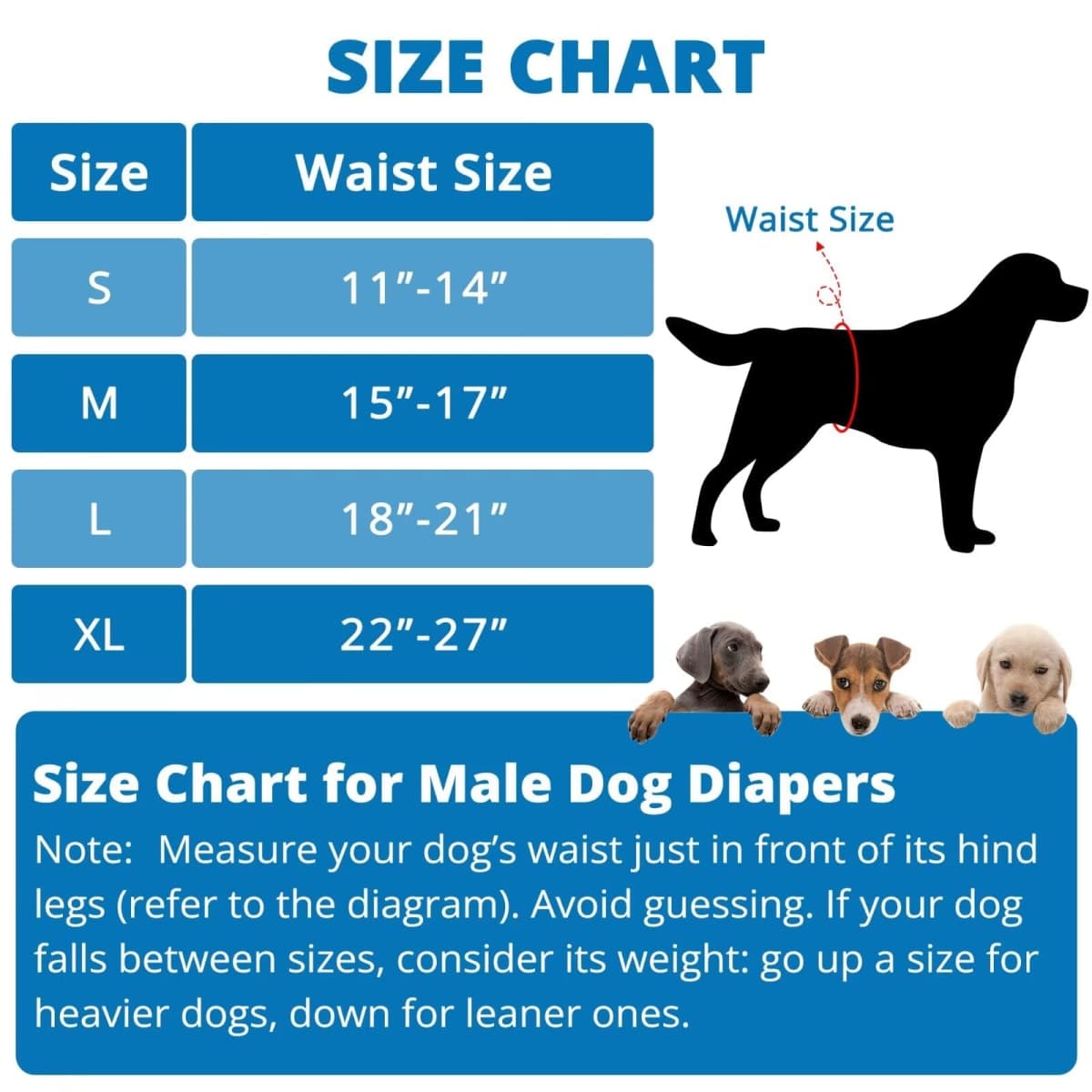 Paw Legend Washable Dogs Diapers Male Dog Belly Bands for Male Dogs Diapers Reusable Puppy & Doggie Diapers Male (5 Pack, Small) thumbnail 4
