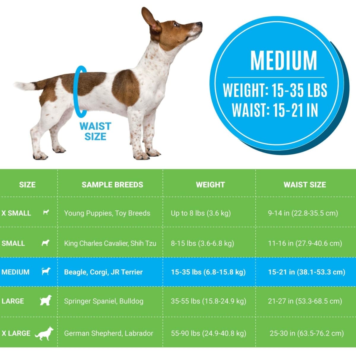 Bodhi Dog Disposable Male Dog Diapers - Super Absorbent, Leak-Proof Pee Wraps - Adjustable Fit, Comfortable Design, Advanced Moisture Control, and Wetness Indicator - Medium (20 Count) thumbnail 2