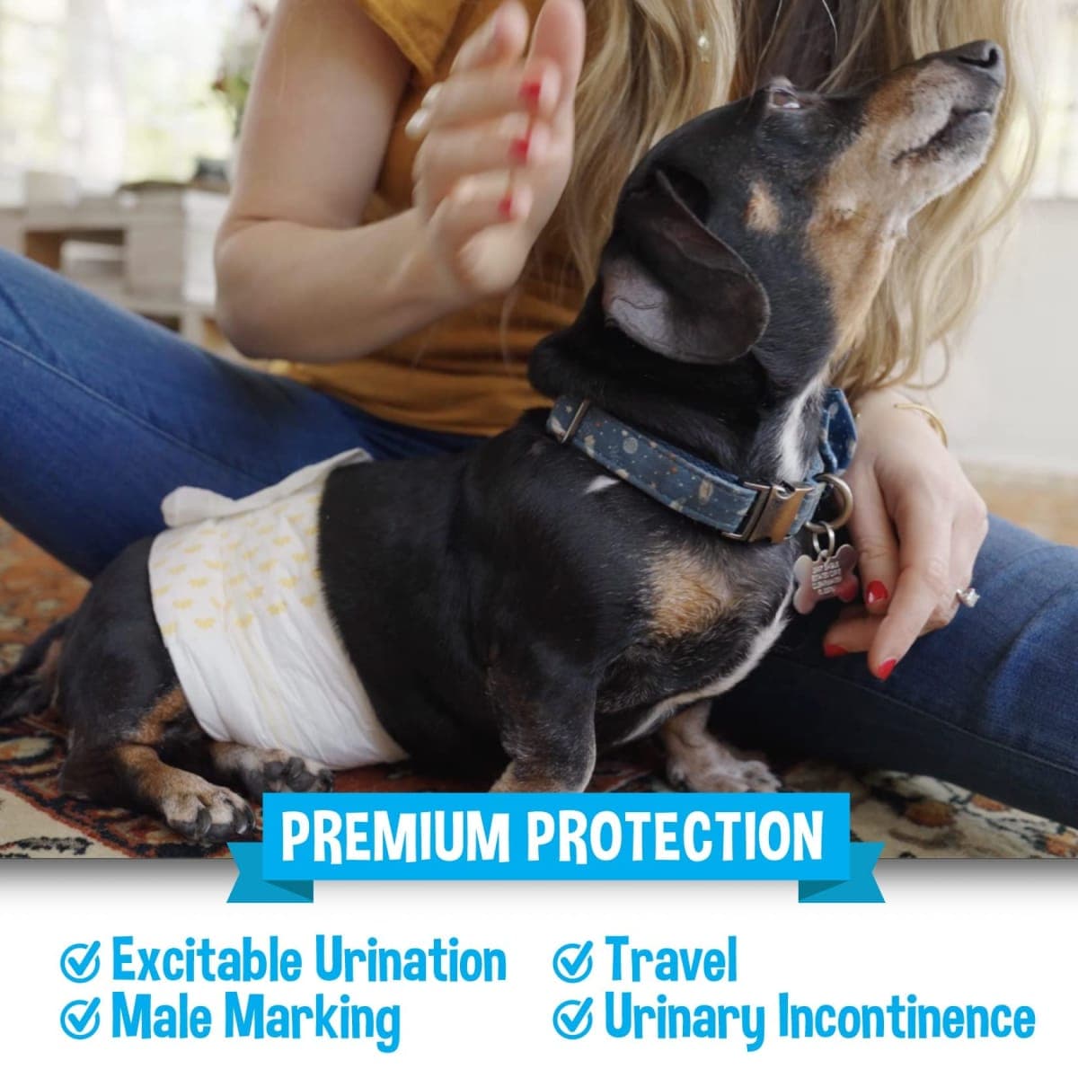 Bodhi Dog Disposable Male Dog Diapers - Super Absorbent, Leak-Proof Pee Wraps - Adjustable Fit, Comfortable Design, Advanced Moisture Control, and Wetness Indicator - Medium (20 Count) thumbnail 4