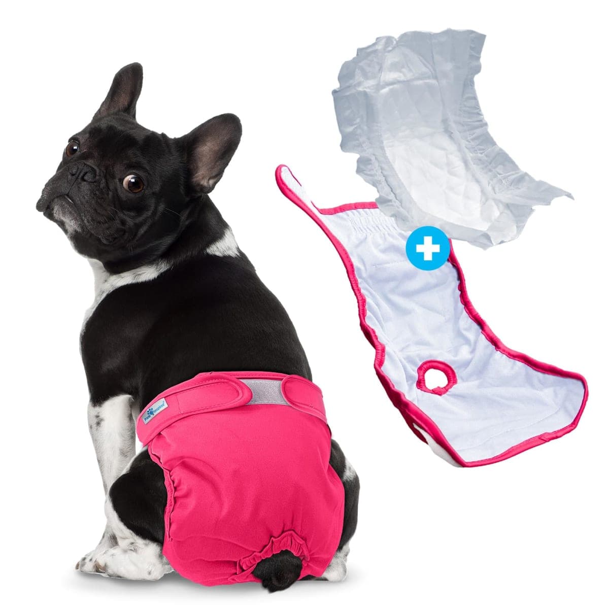 Paw Inspired Reusable Washable Dog Diapers (Pack of 3), Medium in Assorted Colors with White Lining and Dog Diaper Suspenders in Black, S/M Combo Pack thumbnail 2