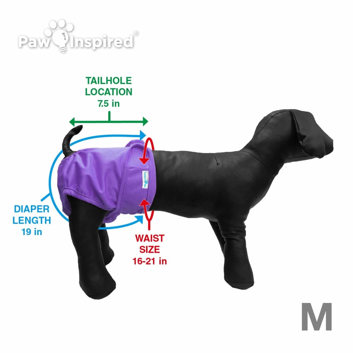 Paw Inspired Reusable Washable Dog Diapers (Pack of 3), Medium in Assorted Colors with White Lining and Dog Diaper Suspenders in Black, S/M Combo Pack thumbnail 4