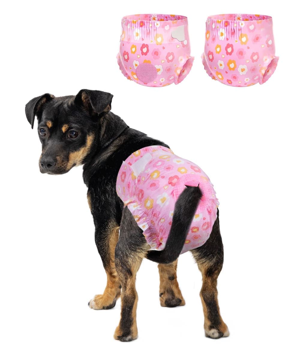 Pet Soft - Sealed | Dog Supplies
