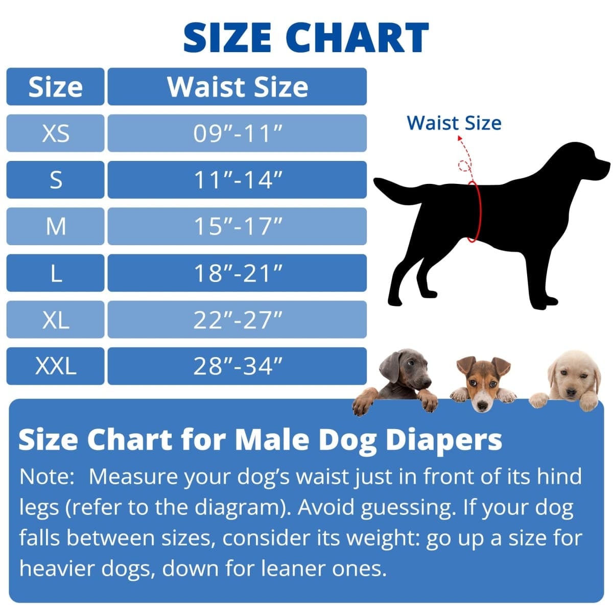 Paw Legend Washable Dog Belly Wrap Diapers for Male Dog (3 Pack) thumbnail 4