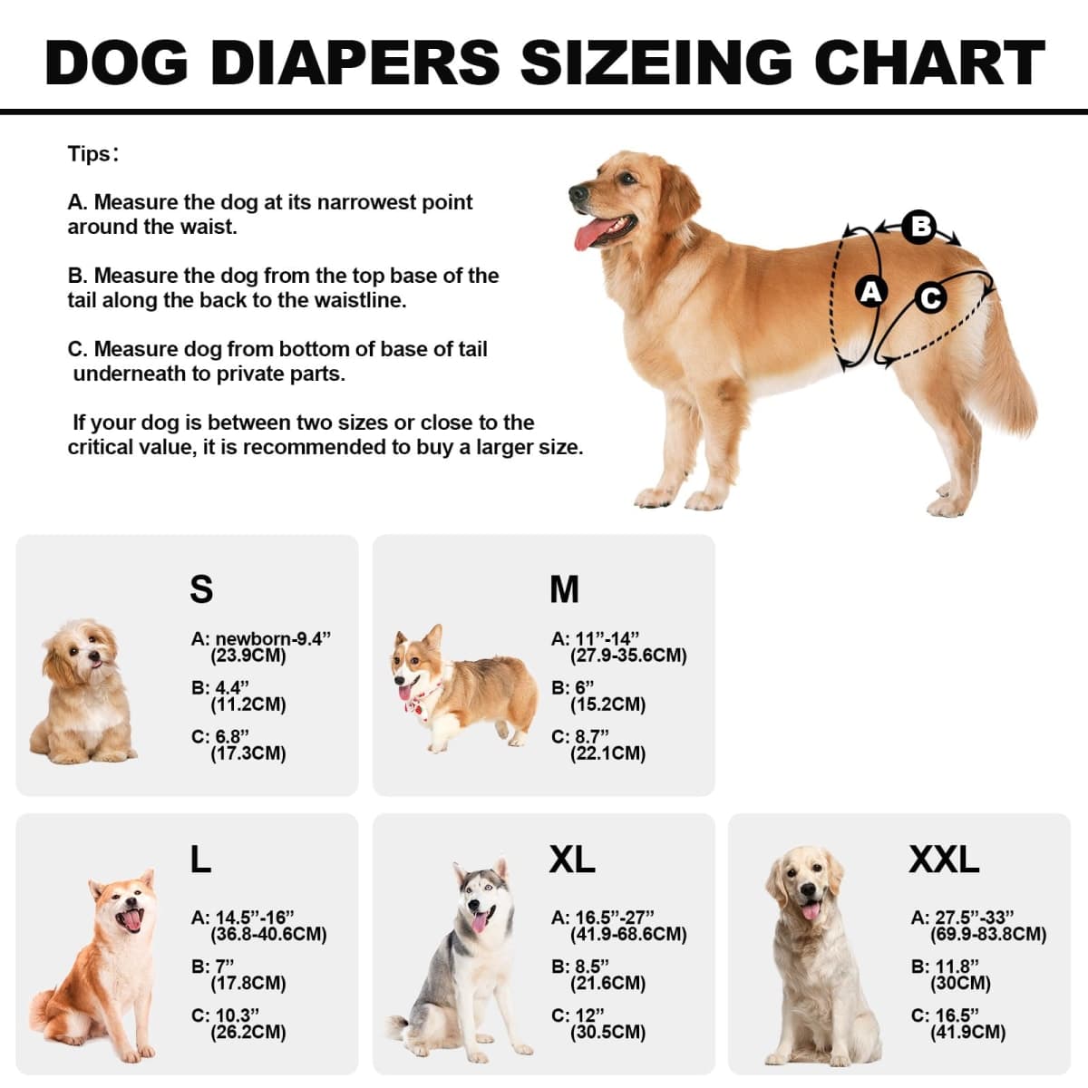 VUNCESSIN - New | Dog Supplies thumbnail 3