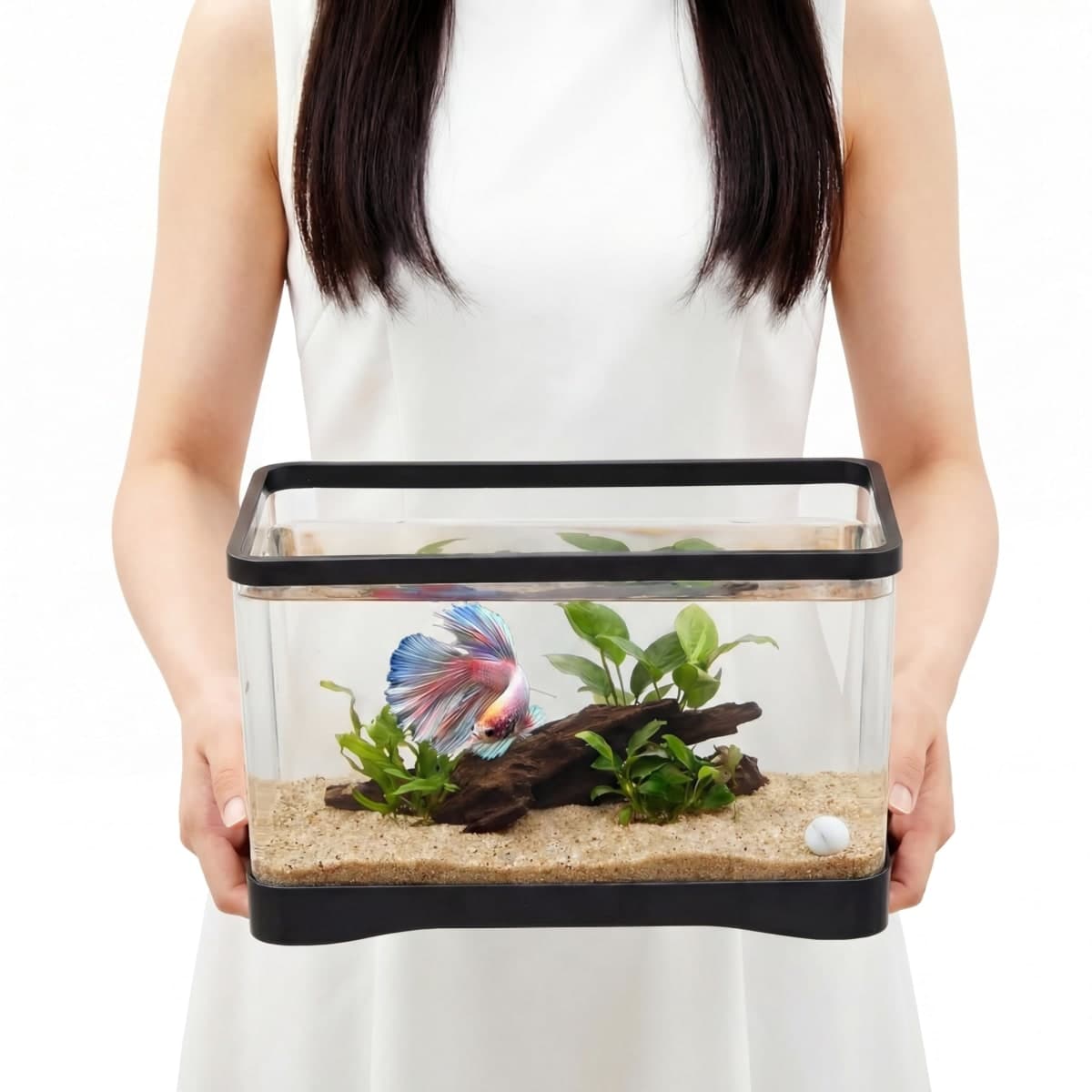 Geelin - Like New | Fish & Aquariums