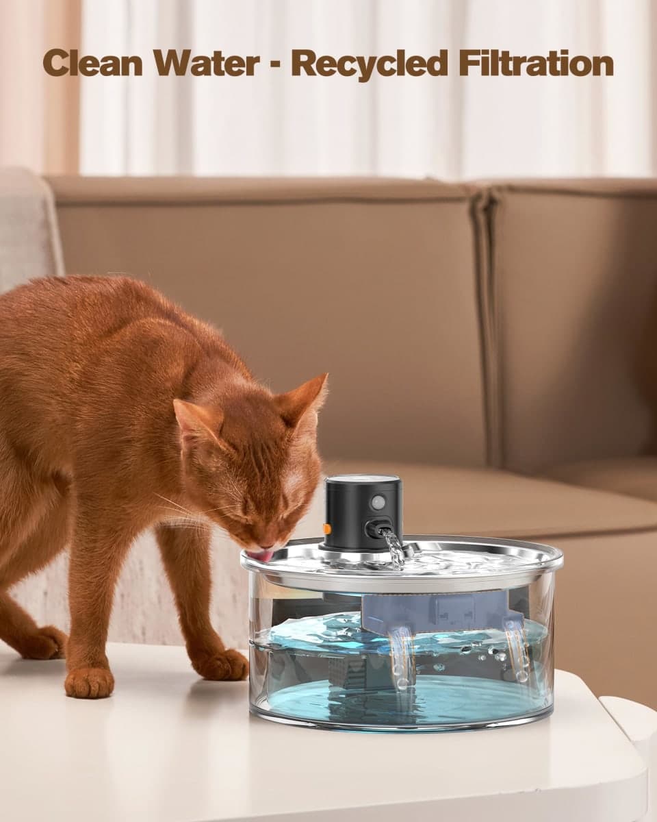 VKIMISS - Inspected | Cat Supplies thumbnail 5