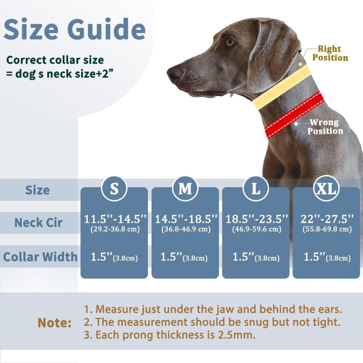 Mayerzon Dog Collar, Patented Martingale No Pull Collar for Small Medium Large Dogs with Buckle for Walking Training, Hidden Design, Adjustable(S, Black) thumbnail 4