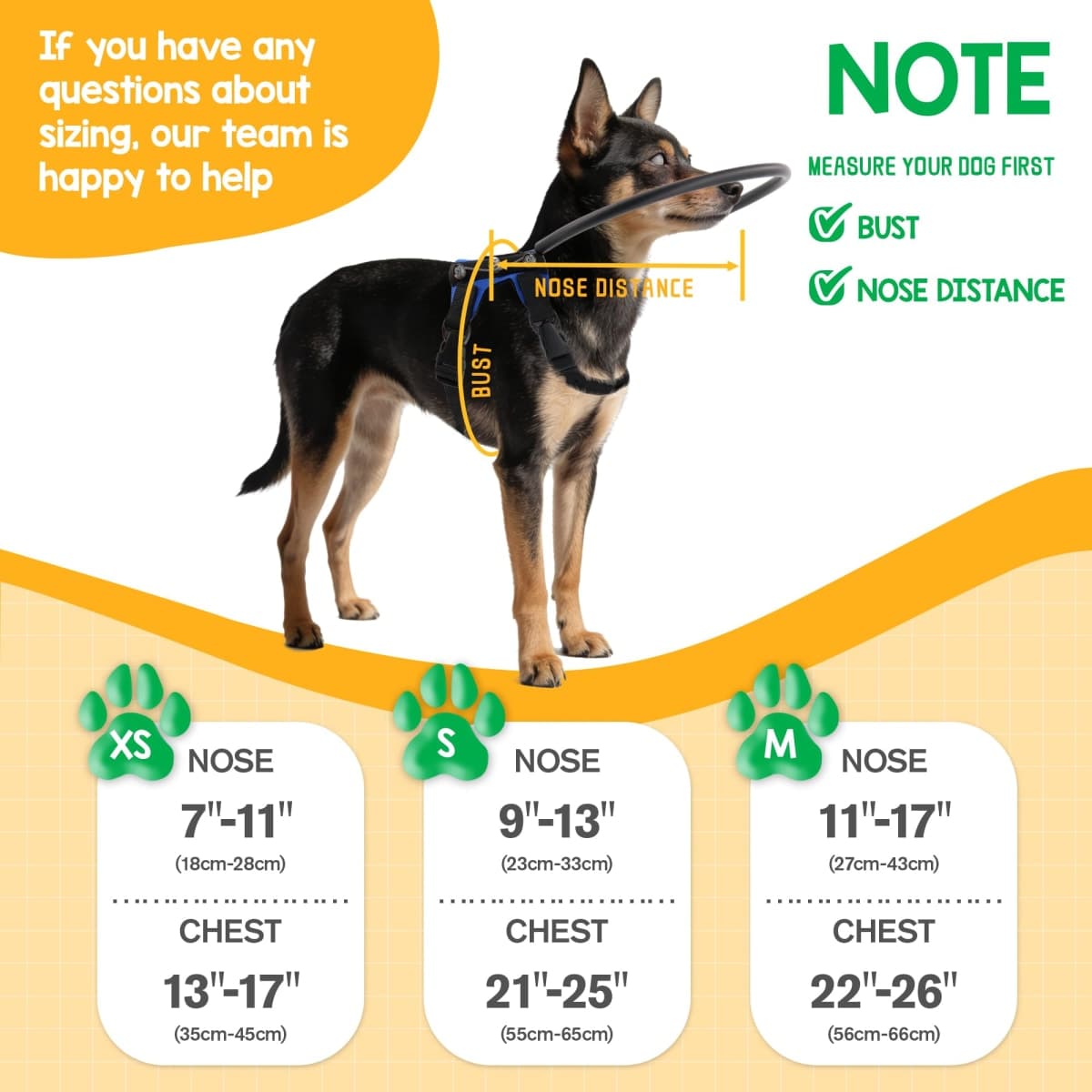 LetPetRun Protective Halo Harness for Blind Dogs,Adjustable Protective Ring Collar Vest, Safe Walking Navigation Aid for Visually Impaired Dogs (13"-17") thumbnail 3
