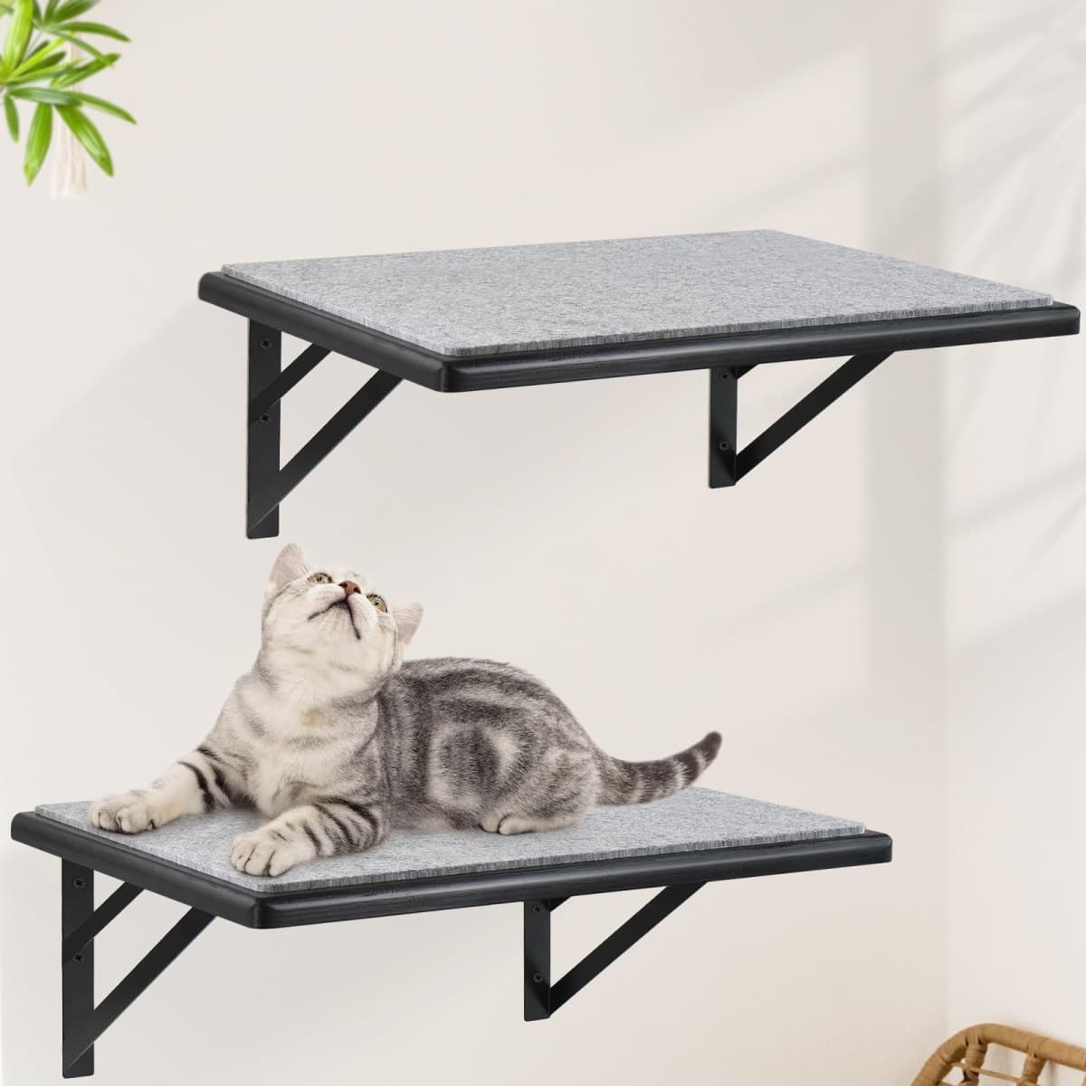 GADKE - New | Cat Supplies — image 1