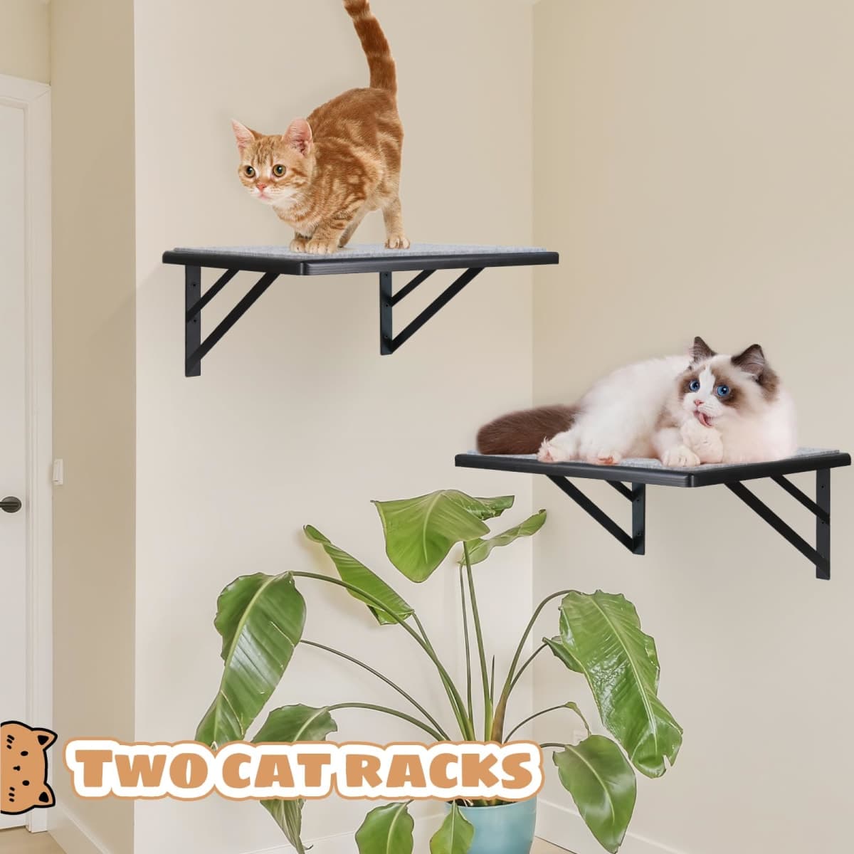 GADKE - New | Cat Supplies thumbnail 3