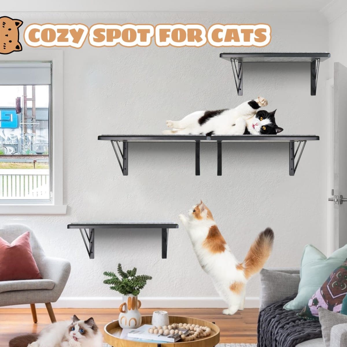 GADKE - New | Cat Supplies thumbnail 4