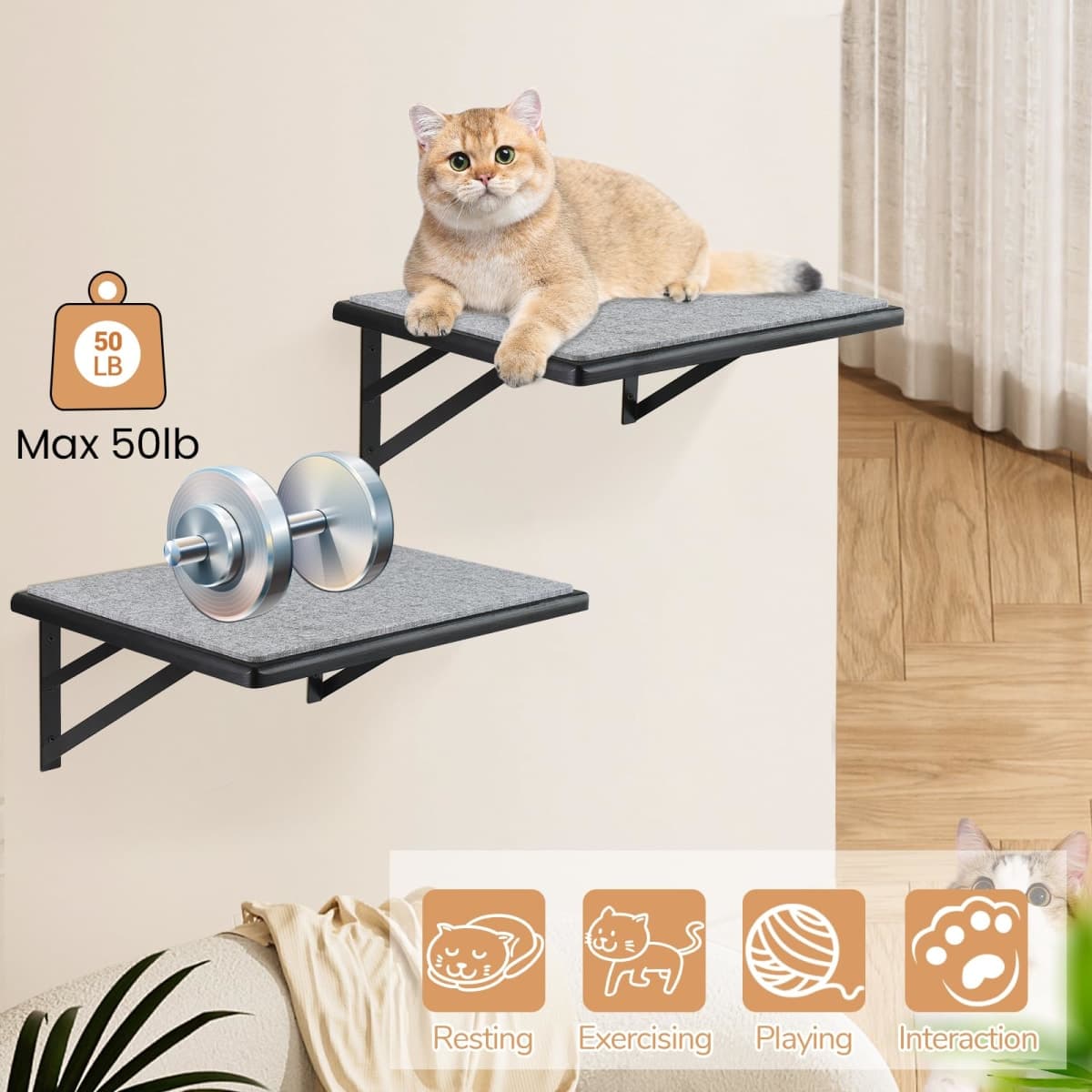 GADKE - New | Cat Supplies thumbnail 5