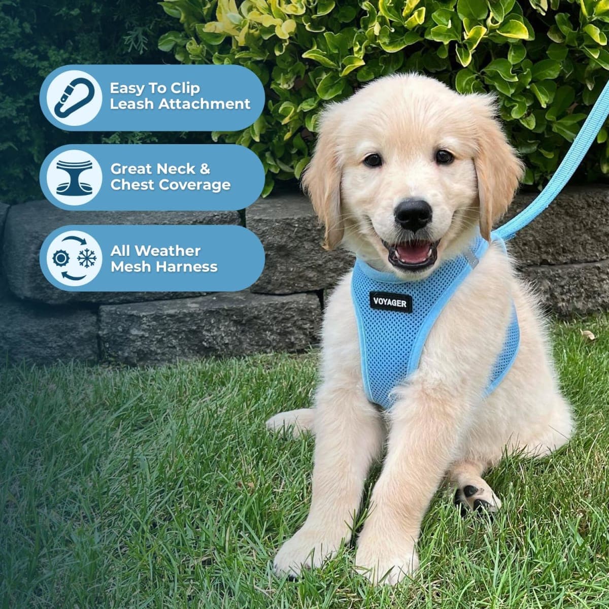 Best Pet Supplies - New | Dog Supplies thumbnail 2