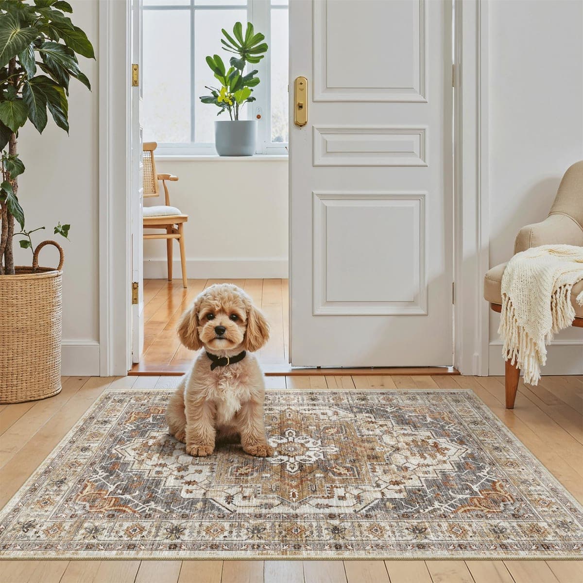 Madane - New / Open Box | Rugs