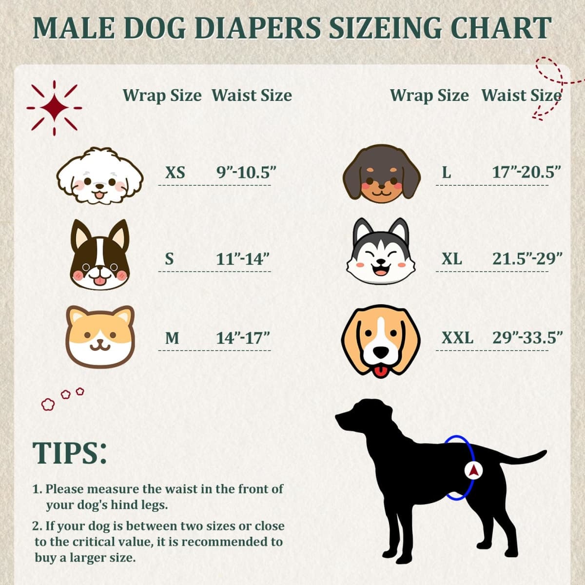 Reusable Dog Diapers Male, Premium Washable Belly Bands for Male Dogs Small, Pack of 5, High Absorbing Male Dog Wraps for Doggie & Puppy in Incontinence or Excitable Urination and Training(S) thumbnail 3