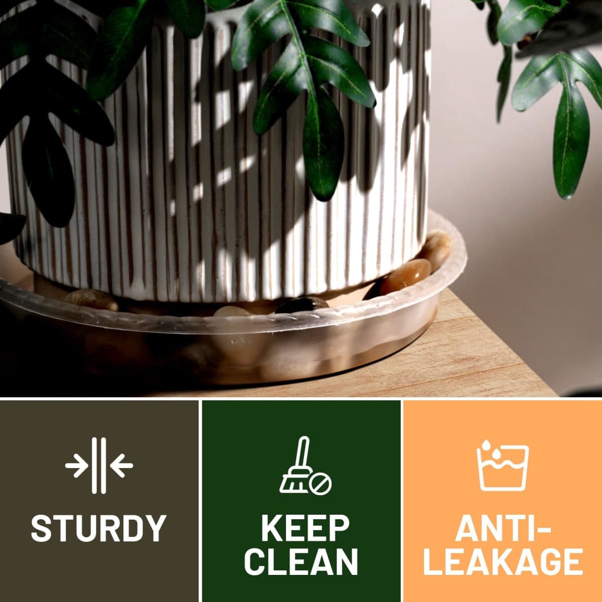 MUDEELA 6 Pack of 10 inch Plant Saucer, Durable Plastic Plant Trays for Indoors, Clear Plastic Flower Plant Pot Saucer, Made of Thicker, Stronger Plastic, with Taller Design thumbnail 4