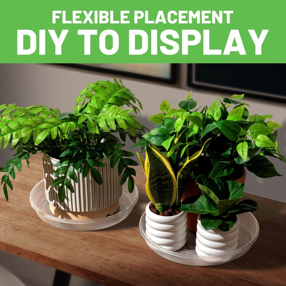 MUDEELA 6 Pack of 10 inch Plant Saucer, Durable Plastic Plant Trays for Indoors, Clear Plastic Flower Plant Pot Saucer, Made of Thicker, Stronger Plastic, with Taller Design thumbnail 5