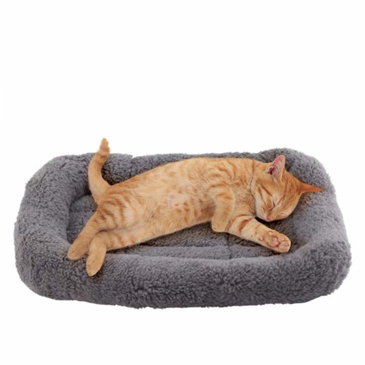 Enjoying - New / Open Box | Cat Supplies