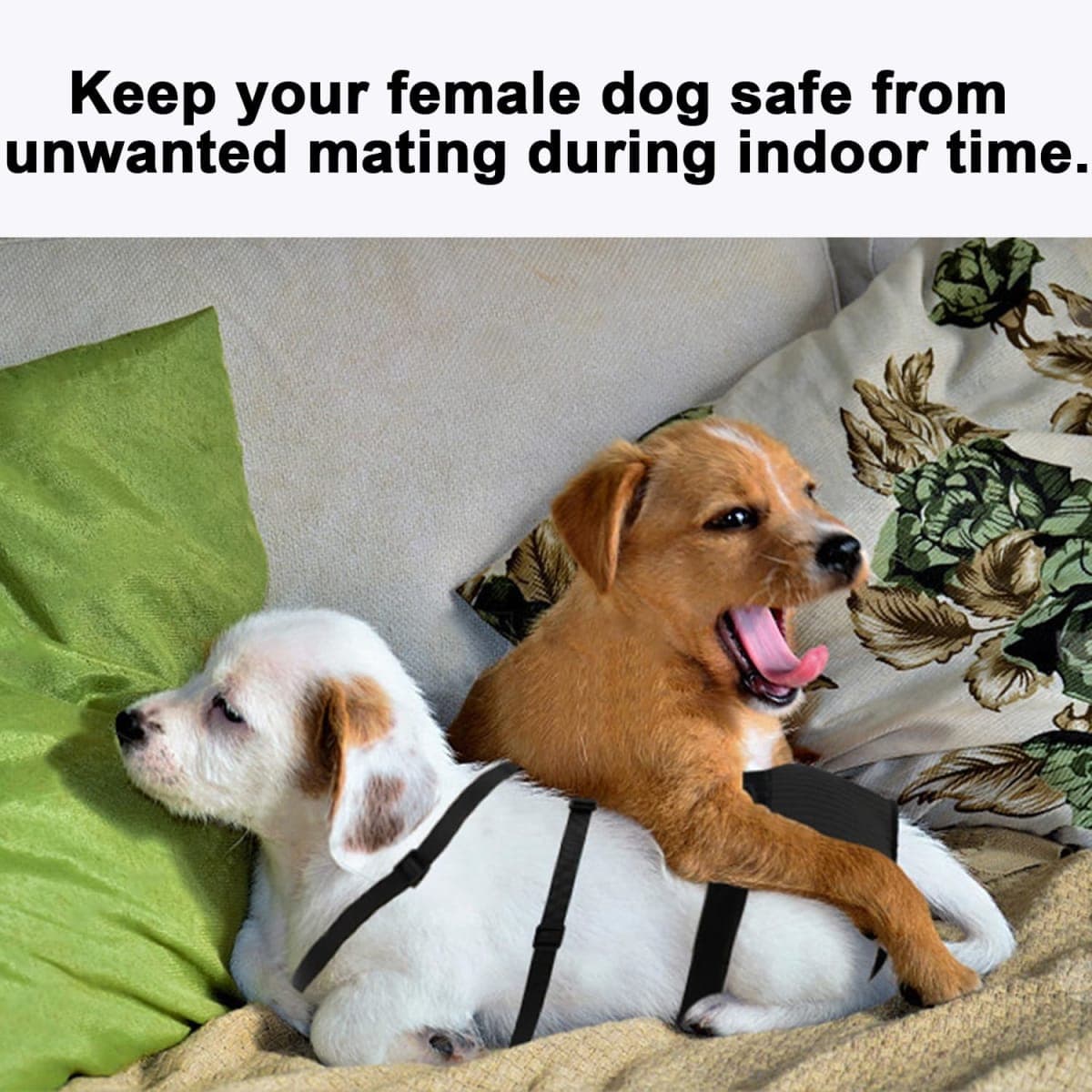 yrenoer - Used - Minor Wear | Dog Supplies thumbnail 4