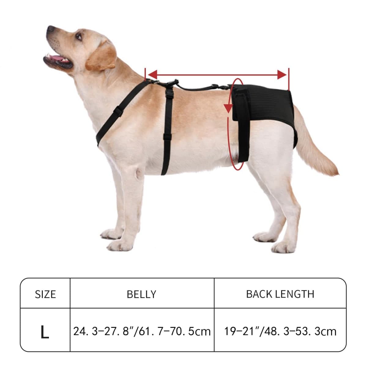 yrenoer - Used - Minor Wear | Dog Supplies thumbnail 5