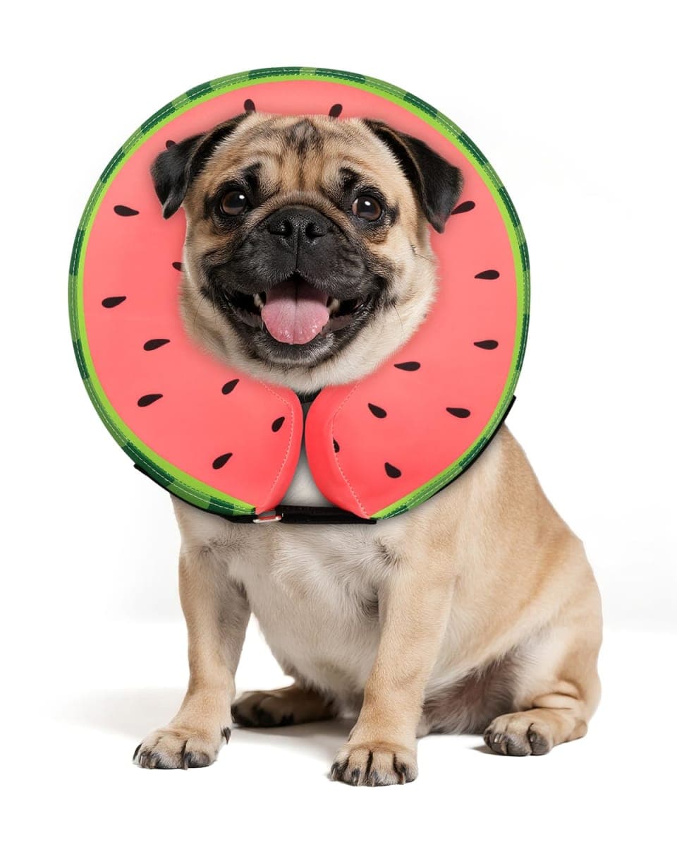 MIDOG - Like New | Dog Supplies — image 1