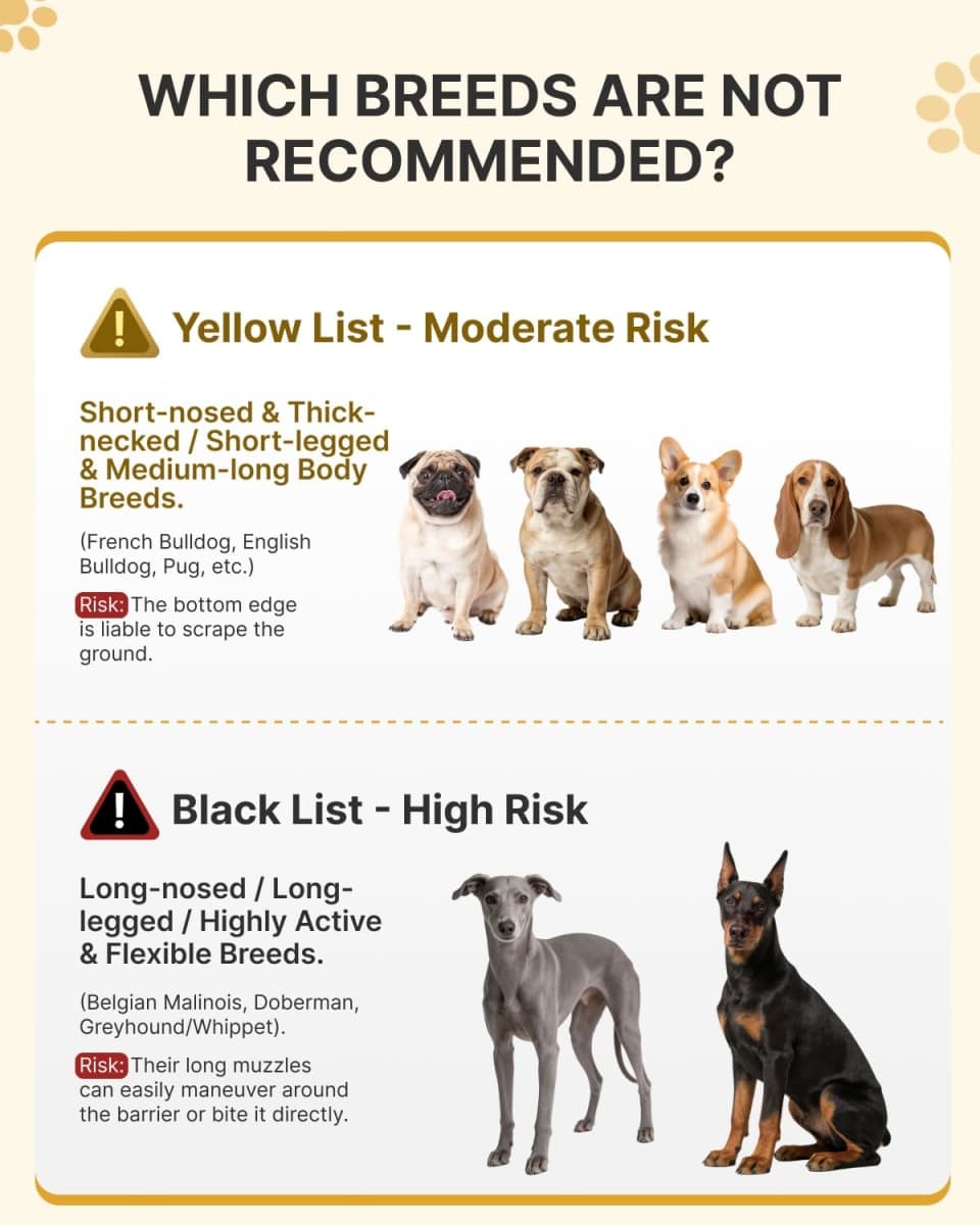 MIDOG - Like New | Dog Supplies thumbnail 2