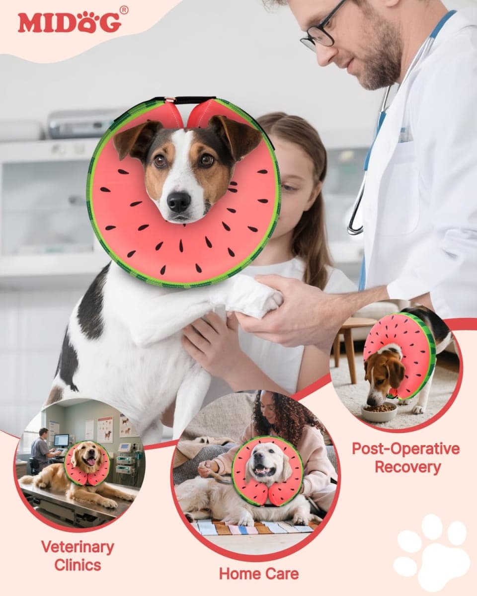 MIDOG - Like New | Dog Supplies thumbnail 5