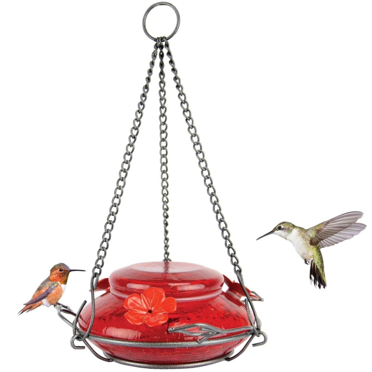 Nature's Way Bird Products - New / Open Box | Bird Supplies — image 1