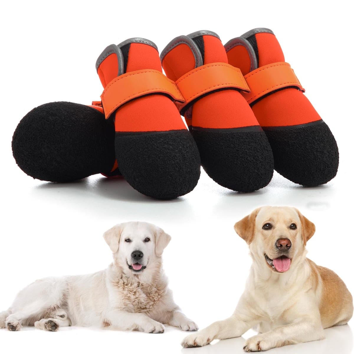 DOGOYS - New / Open Box | Dog Supplies