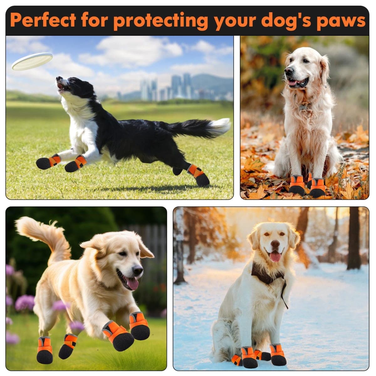DOGOYS - New / Open Box | Dog Supplies thumbnail 3
