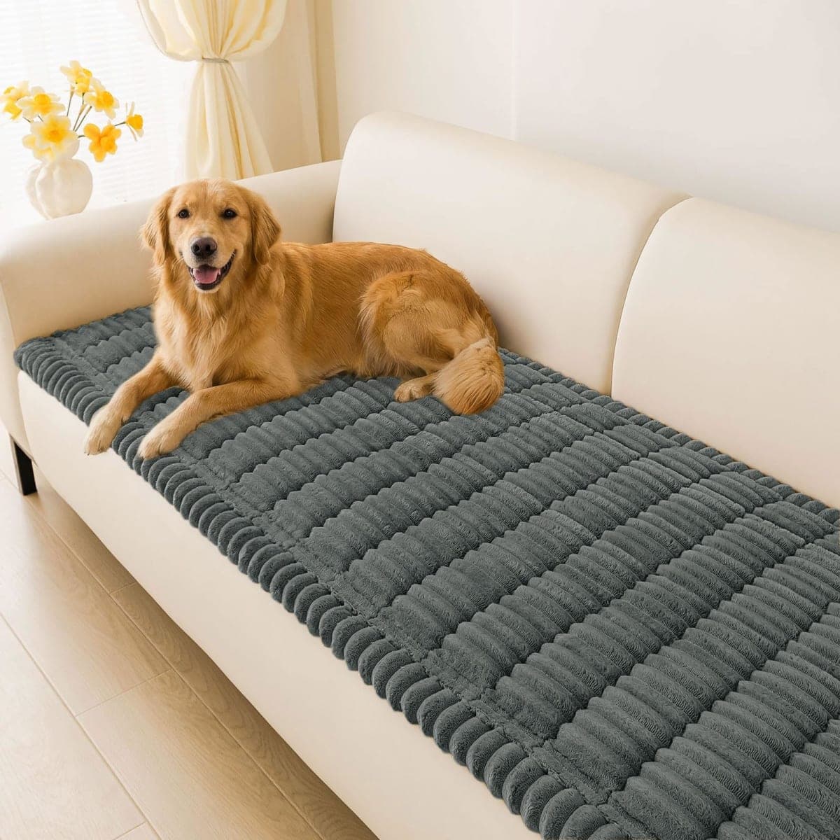 hyha - New / Open Box | Dog Supplies