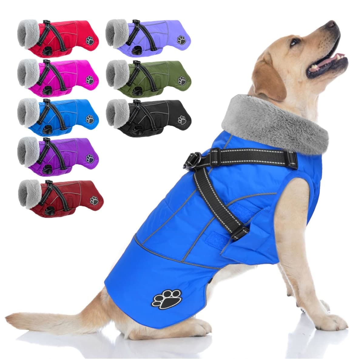 Doglay - New / Open Box | Dog Supplies